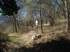 O611-ldp003-01-p2-170307-SdC