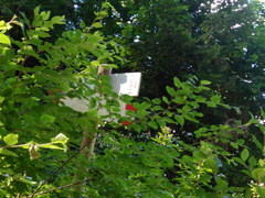 O612-ldp002-20-d02-170716-MCF