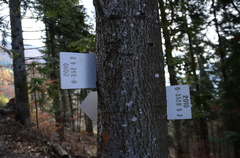 O612-ldp002-60-d02-181112-ED