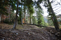 O612-ldp002-60-p01-181112-ED