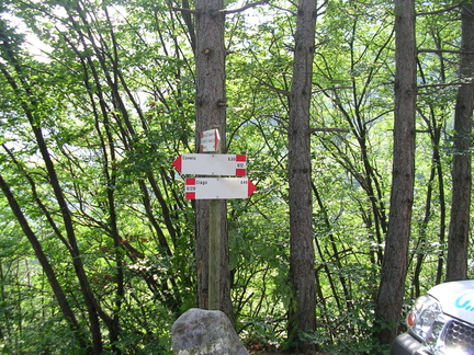 O612-ldp004-00-p02-070609