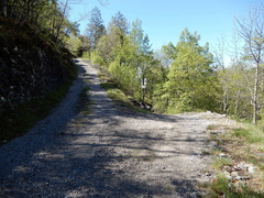 O613-ldp005-00-p1-170502-GT