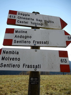 O613-ldp007-00-d01-181117-tg