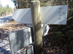 O613-ldp010-00-d3-160323-MP