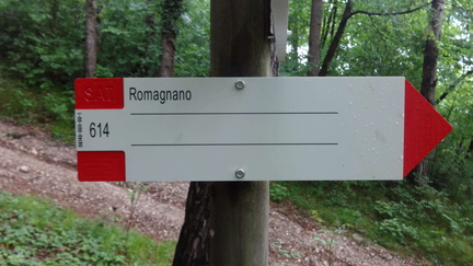 O614-ldp003-00-d02-170512-ED