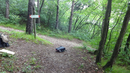 O614-ldp003-00-p01-170512-ED