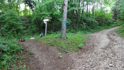 O614-ldp003-00-p02-170512-ED