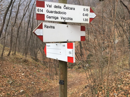 O614-ldp004-00-d03-170119-MM