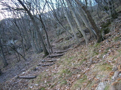 O614-06-070201-LB-617