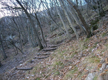 O614-06-070201-LB-617