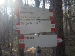 O615-ldp011-00-d01-190308-SdC