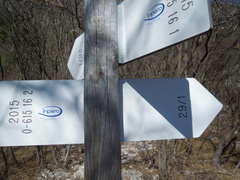 O615-ldp016-00-d3-170309-SdC