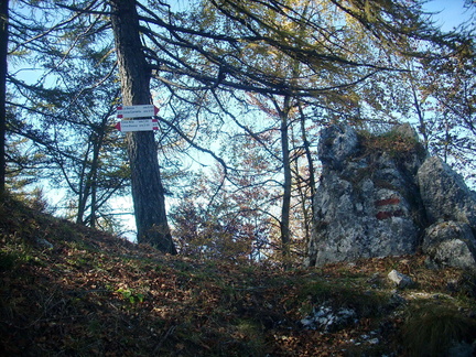 O617-ldp005-00-p1-171014-FB-0093