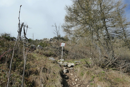 O617-ldp010-00-p1-160515-td