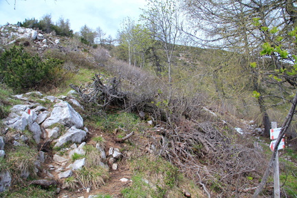 O617-ldp010-00-p2-td