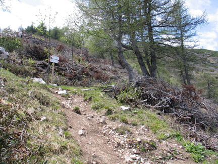 O617-ldp010-00-p3-090507-gt