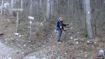 O618-ldp004-00-p3-160116-ED