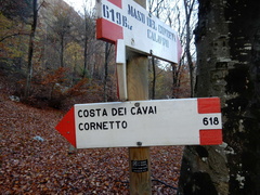 O618-ldp005-00-d01-181117-tg