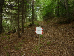 O618-ldp005-50-p3-100914-P1020376