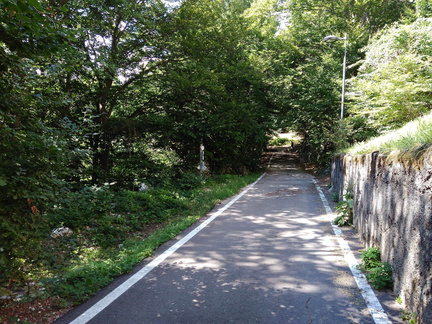 O618-ldp009-00-p2-170715-MCF