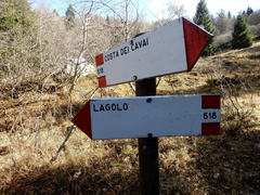 O618-ldp025-00-d01-181117-tg