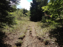 O618-ldp025-00-p03-170713-MCF