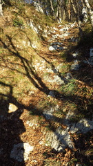 O618-02-sentiero005161230-GT