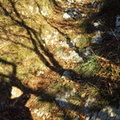 O618-02-sentiero005161230-GT
