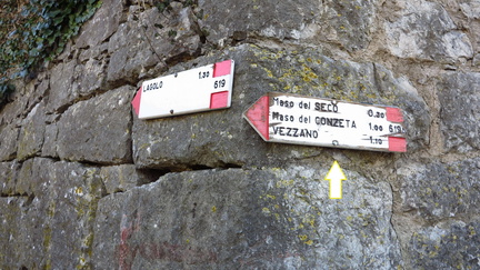 O619-ldp001-00-d1-161230-GT