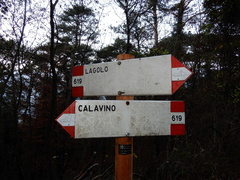 O619-ldp003-00-d01-181117-tg