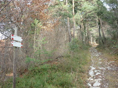 O619-ldp004-00-p2-101123-P1030312