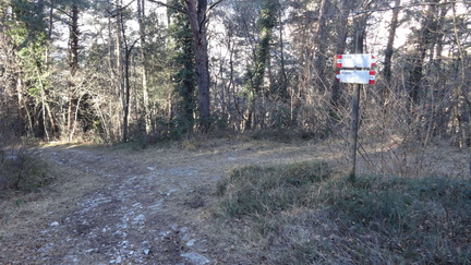 O619-ldp004-00-p3-160116-ED