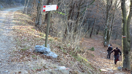 O619-ldp005-50-00-p2-161230-GT