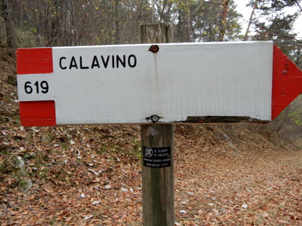 O619-ldp005-50-d01-181117-tg