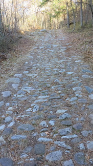 O619-sentiero-3-161230-GT