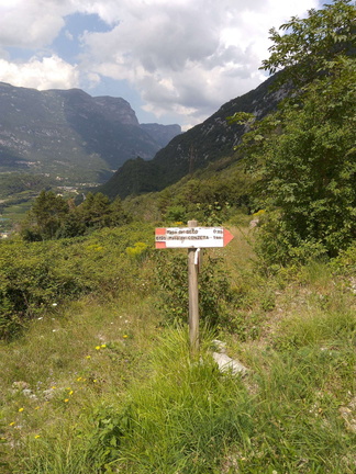 O619B-ldp002-40-d0-170809-MCF