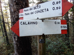 O619B-ldp002-50-d01-181108-GT