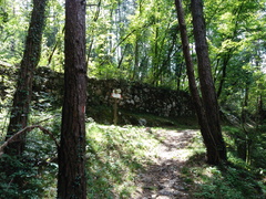 O619B-ldp003-00-p3-170809-MCF