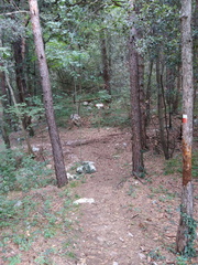 O619B-ldp004-00-p0-170809-MCF