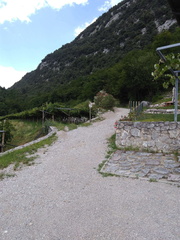 O619B-ldp005-00-p1-170809-MCF