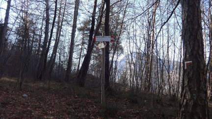 O619B-ldp007-00-p4-160116-ED