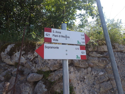 O621-ldp003-00-d01-170719-MCF