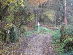 O621-ldp006-00-p01-160912-AM