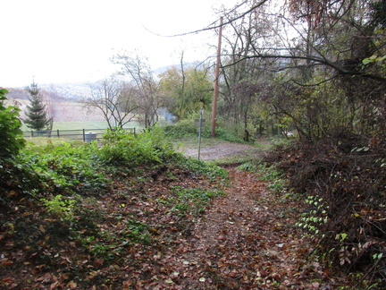 O621-ldp006-00-p03-160912-AM