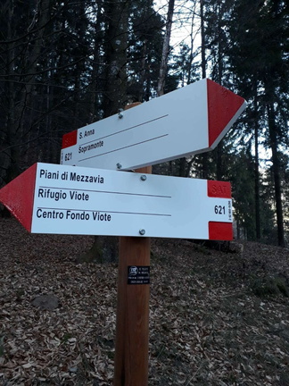 O621-ldp008-20-d01-190131-MA