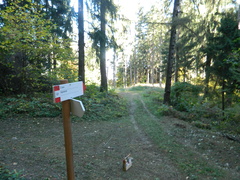 O621-ldp008-20-p01-181221-GS