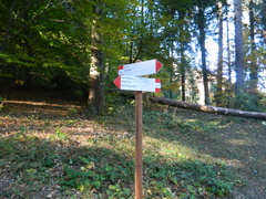 O621-ldp008-20-p02-181221-GS