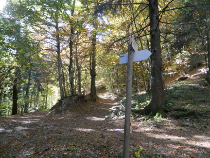 O621-ldp009-00-p01-181221-GS