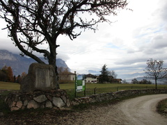 O621-01-161120-NF-Cippo-Sant-Anna