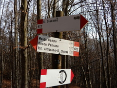 O622-ldp005-00-d01-181217-tg